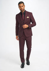 Cavani Caridi Wine 3 Piece Suit